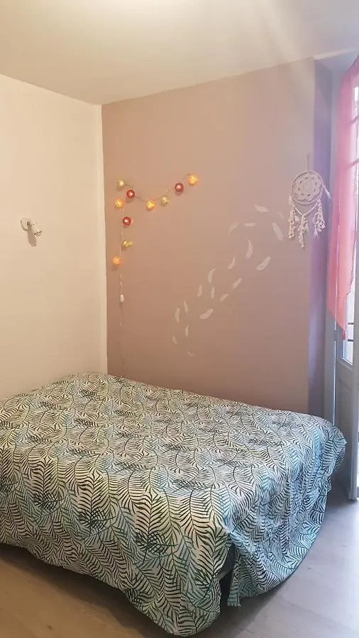 Studio Lourdes Centre Ville Apartment